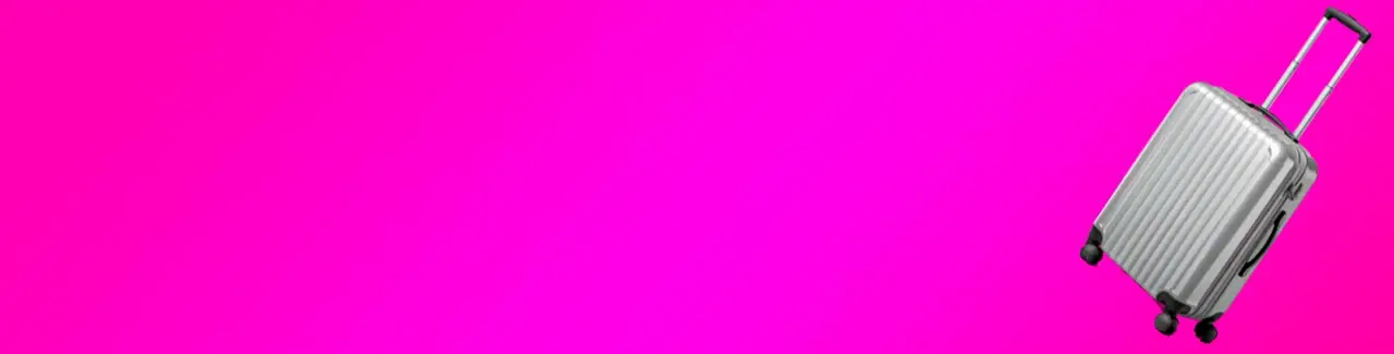 интернет магазин чемоданов в минске