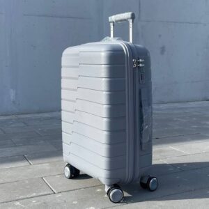 Чемодан Bizon Н03 серый, маленький (S+)