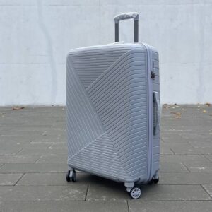 Чемодан Bizon H07 S серый